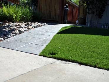 Artificial Grass Photos: Fake Grass North El Monte California  Landscape  Front Yard